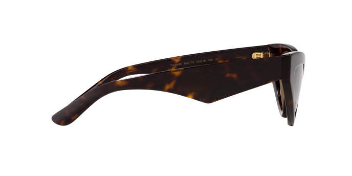 Dolce & Gabbana DG4439 502/73
