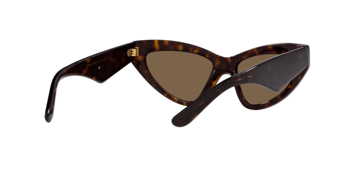 Dolce & Gabbana DG4439 502/73