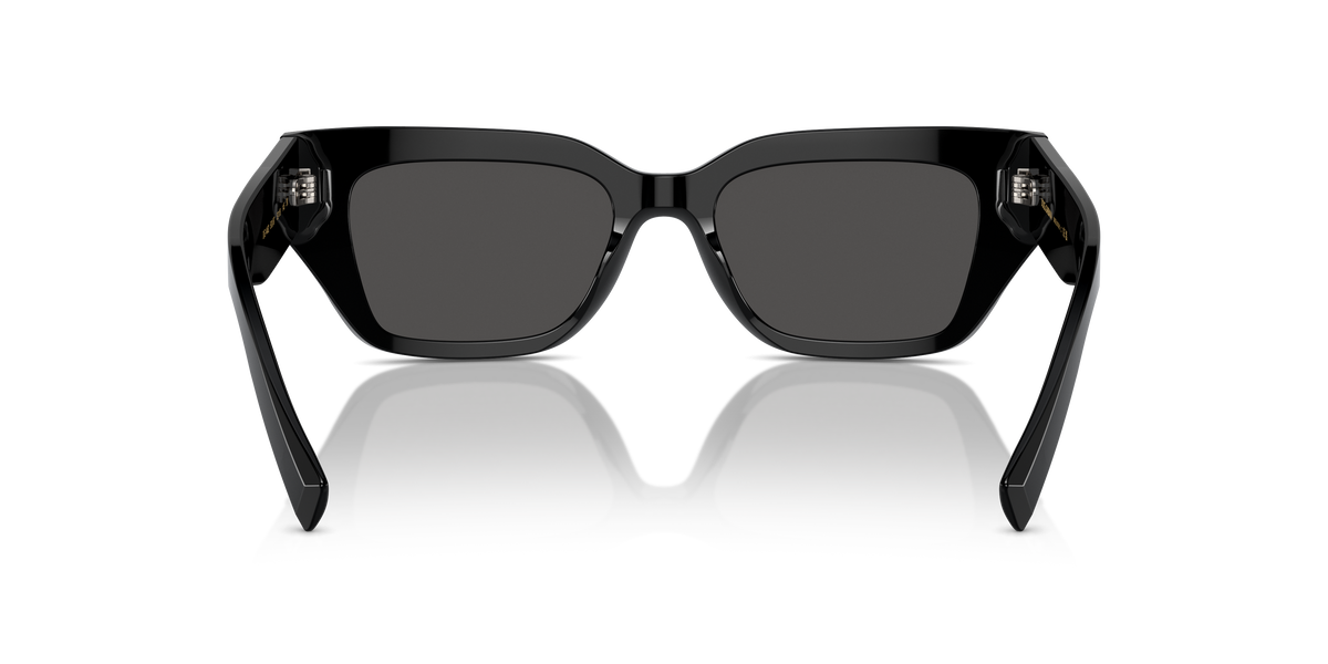 Dolce & Gabbana DG4462 501/87
