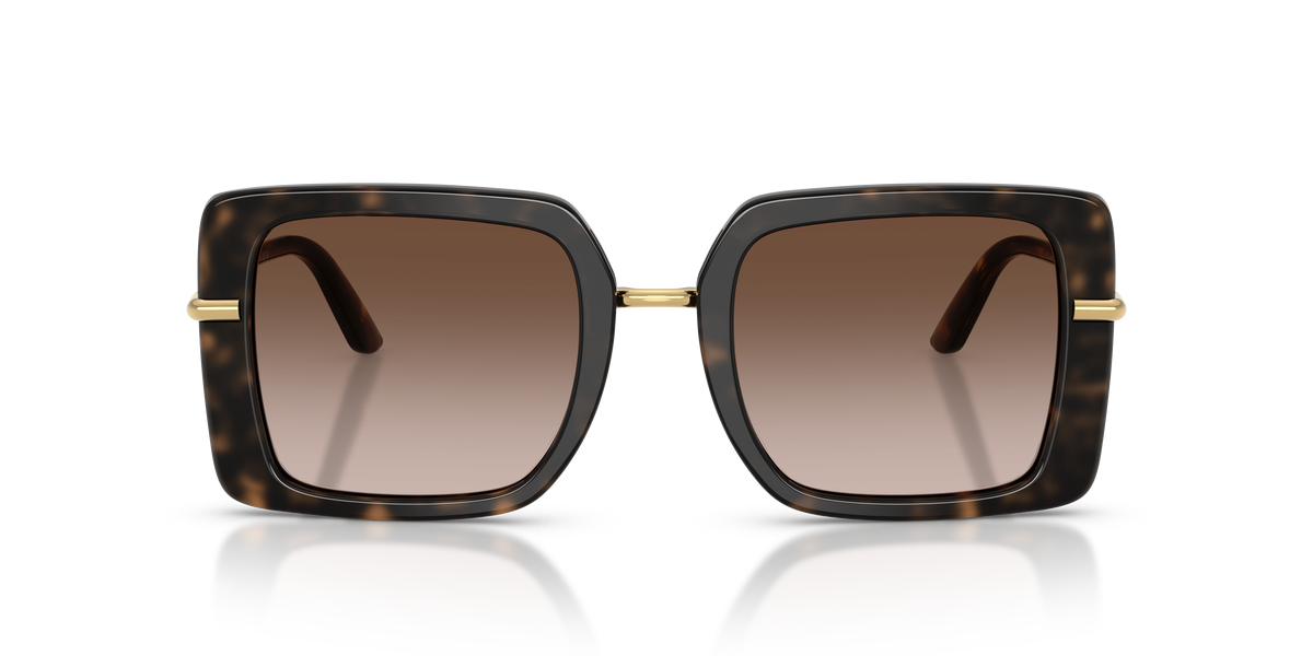 Dolce & Gabbana DG4491 321713