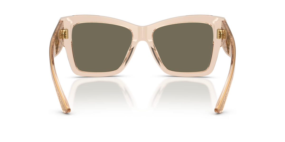 Dolce & Gabbana DG4493 343203