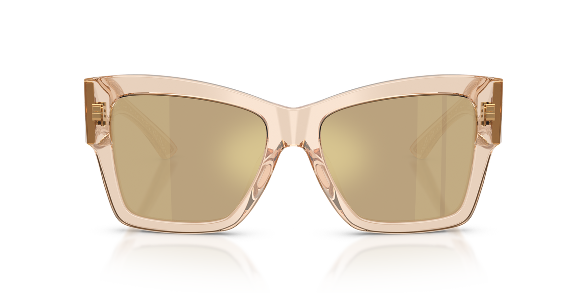 Dolce & Gabbana DG4493 343203