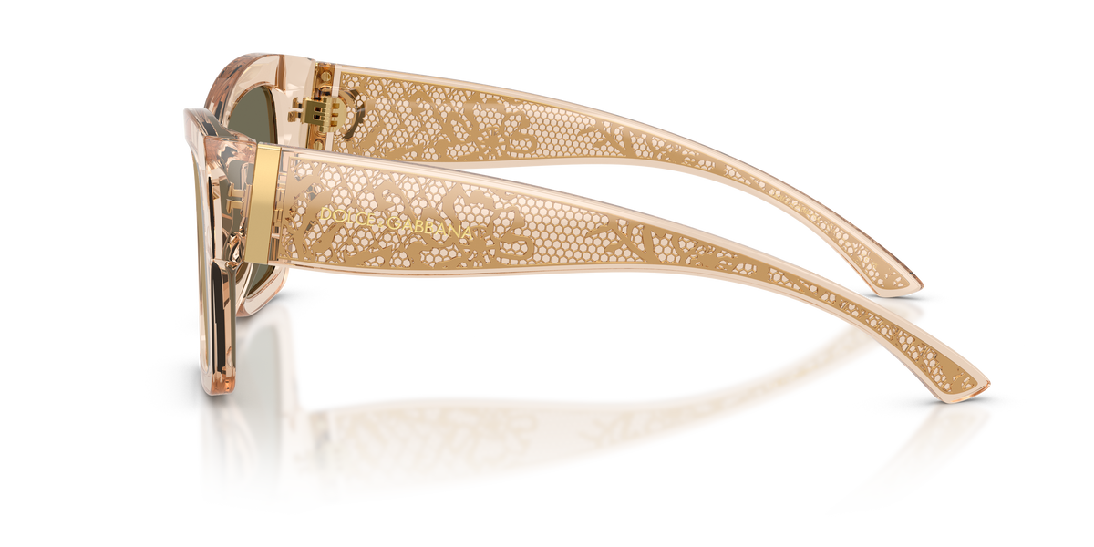 Dolce & Gabbana DG4493 343203