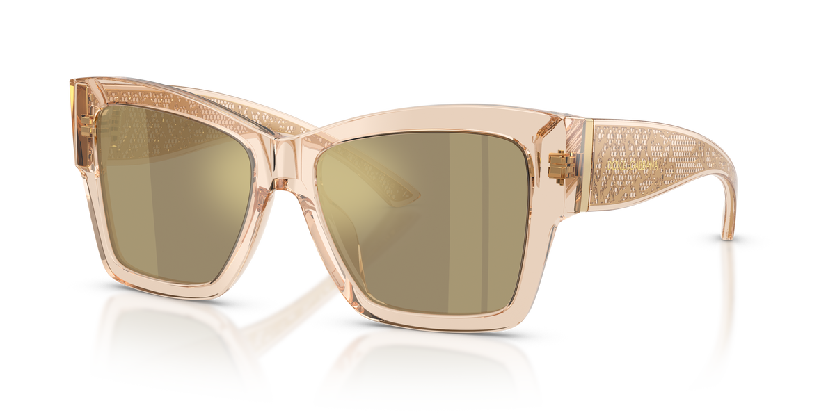 Dolce & Gabbana DG4493 343203