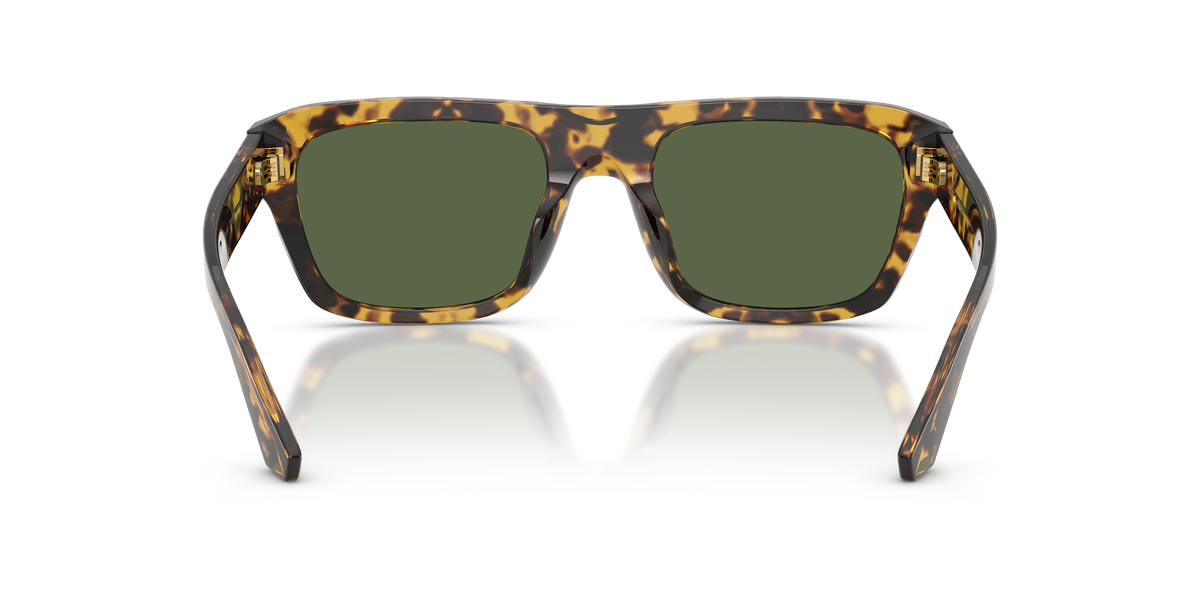 Dolce & Gabbana DG4496 333071