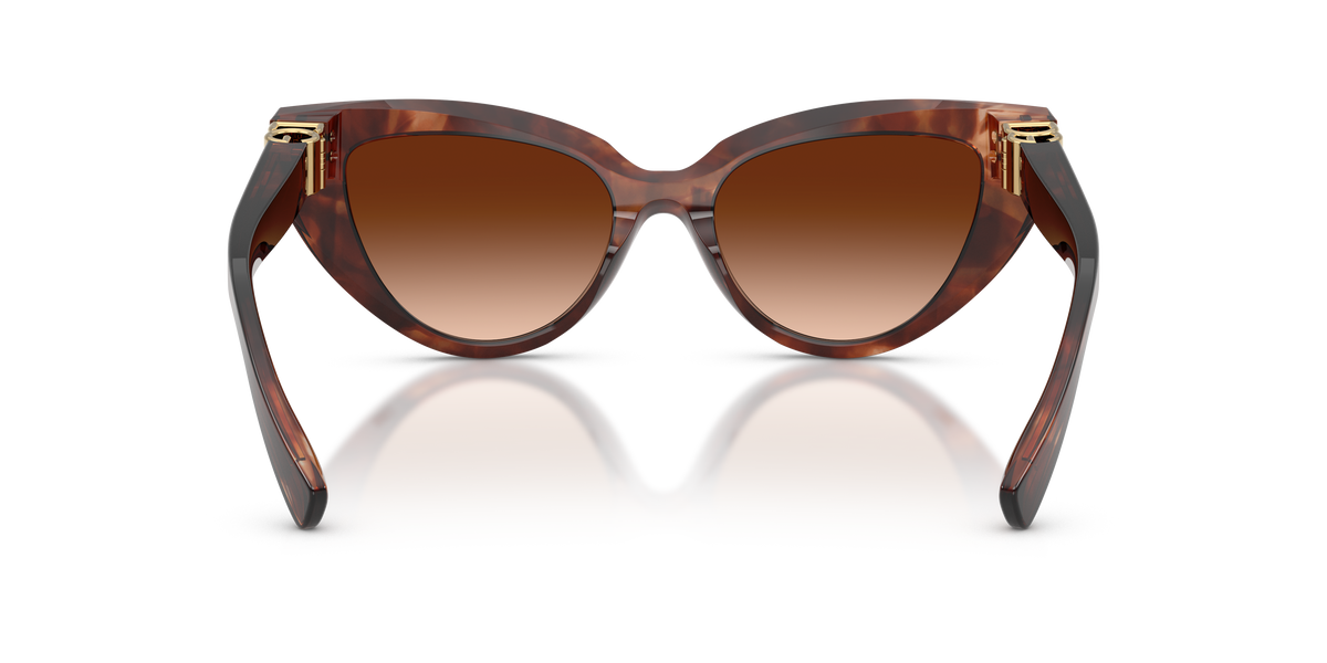 Dolce & Gabbana DG4497 322274