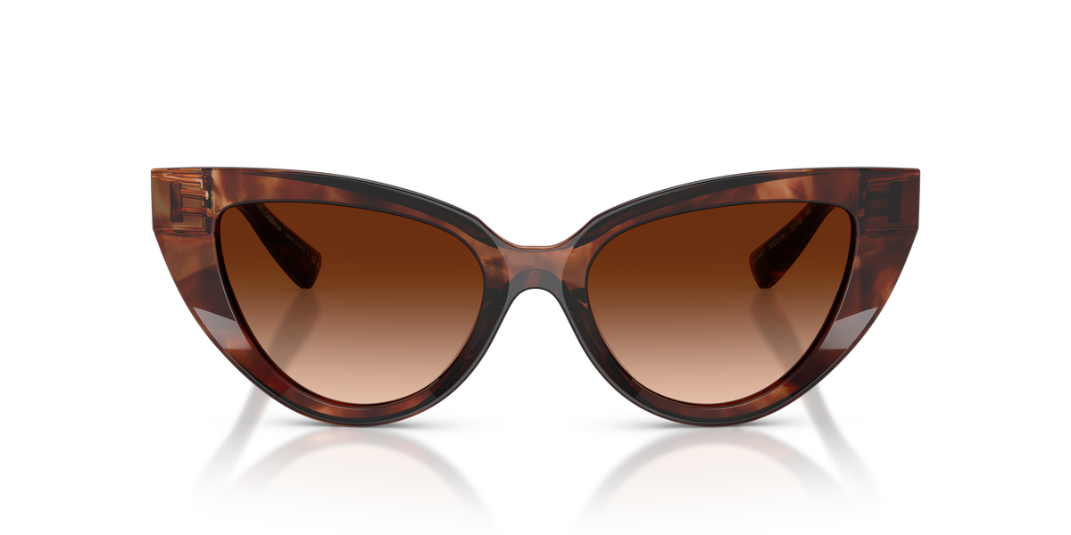 Dolce & Gabbana DG4497 322274