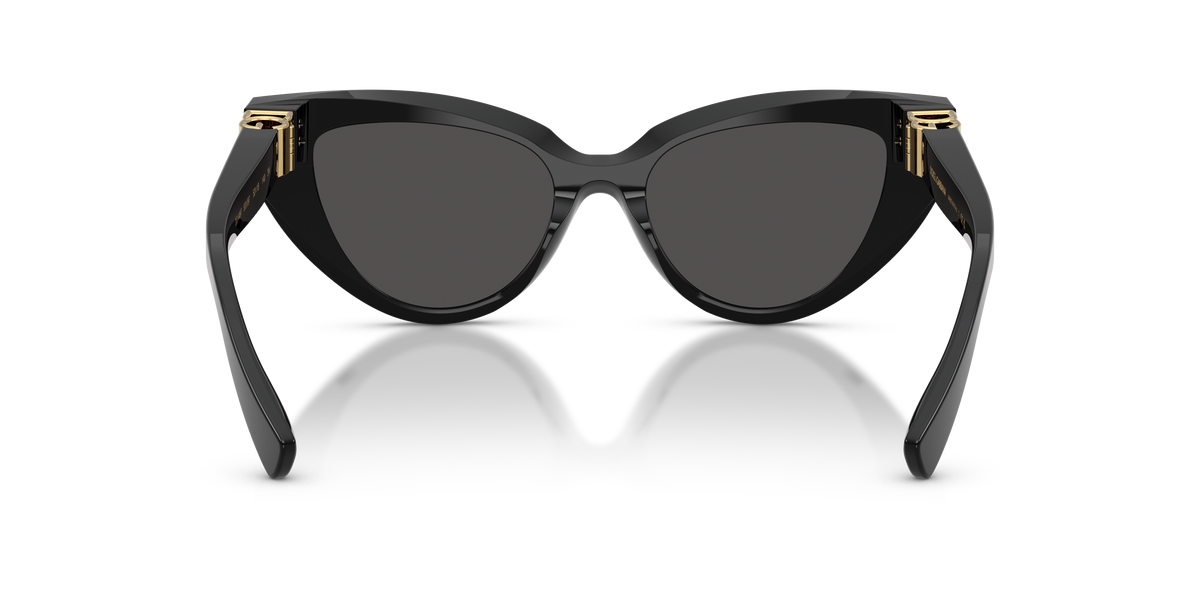 Dolce & Gabbana DG4497 501/87