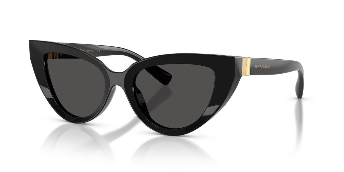 Dolce & Gabbana DG4497 501/87