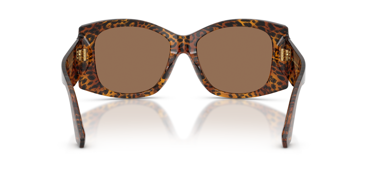 Dolce & Gabbana DG4501 347073