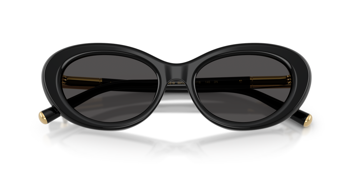 Dolce & Gabbana DG4519 501/87