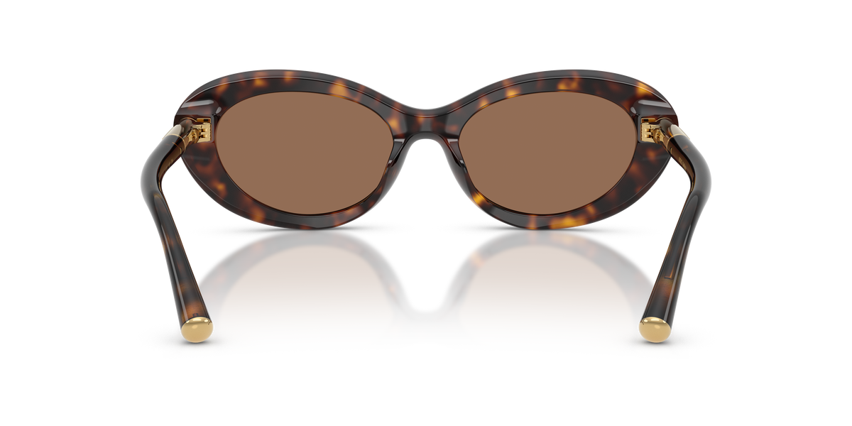 Dolce & Gabbana DG4519 502/73