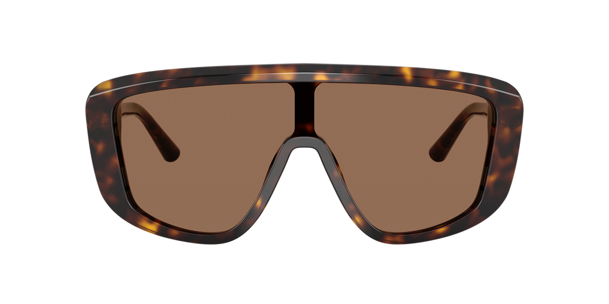 Dolce & Gabbana DG4520 502/73