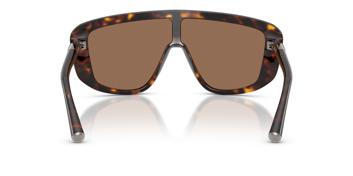 Dolce & Gabbana DG4520 502/73