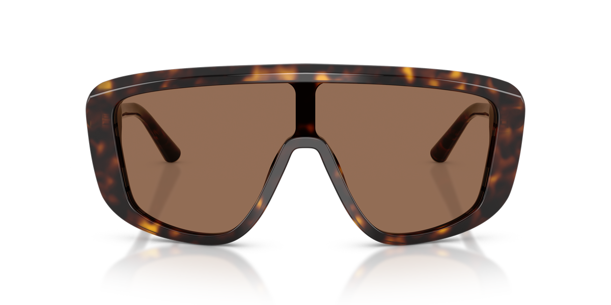 Dolce & Gabbana DG4520 502/73