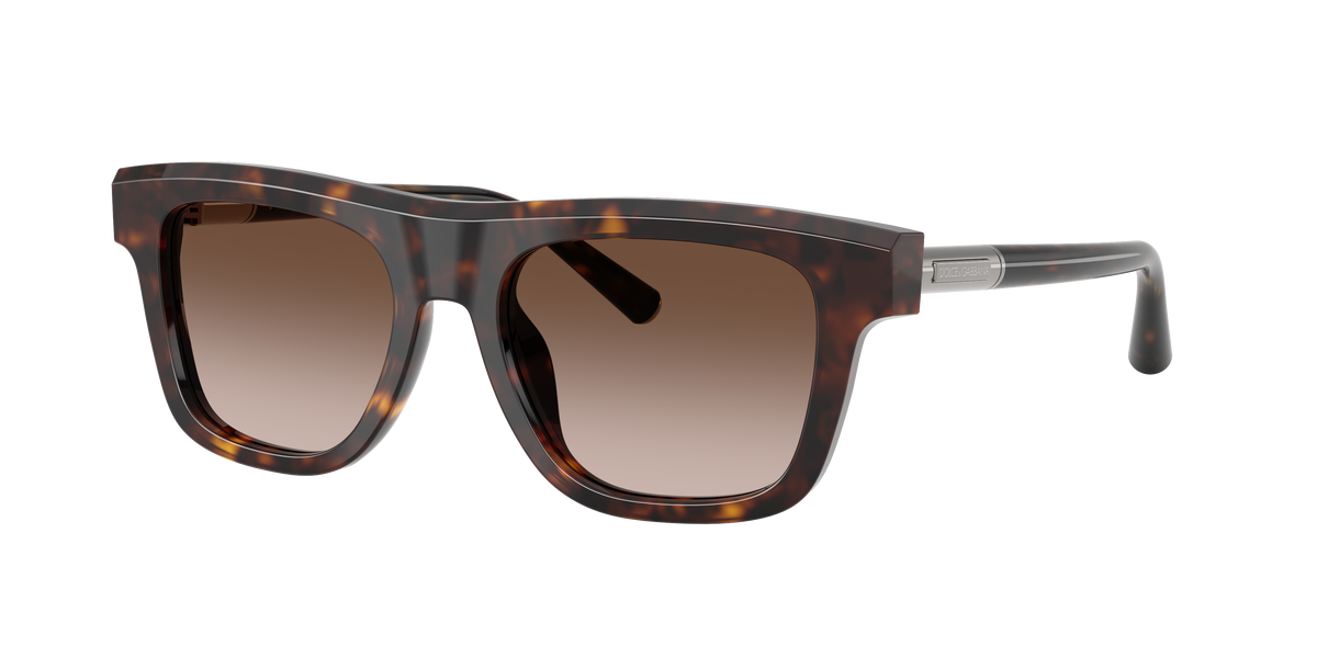 Dolce & Gabbana DG4521 502/13