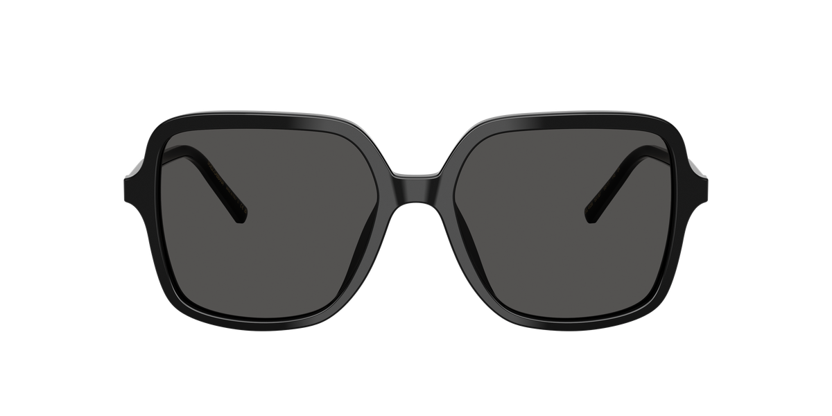 Dolce & Gabbana DG4539 501/87