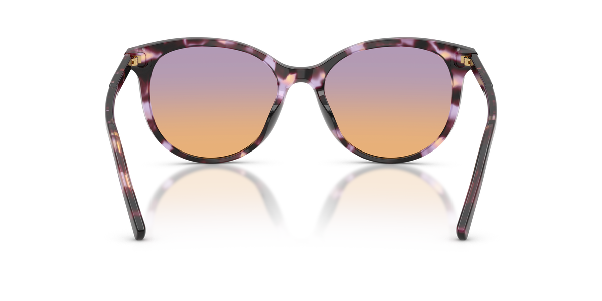 Dolce & Gabbana DG4540 3477EL