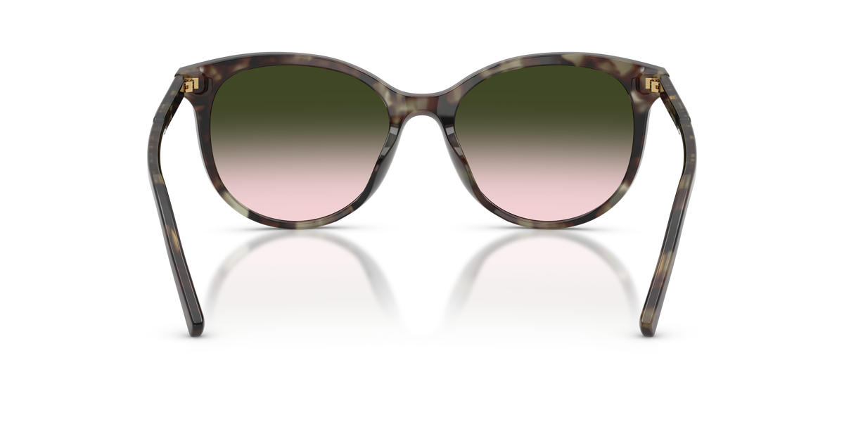 Dolce & Gabbana DG4540 34782C