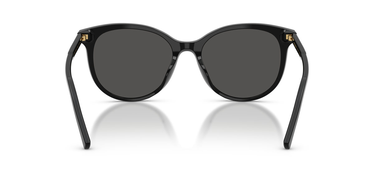 Dolce & Gabbana DG4540 501/87