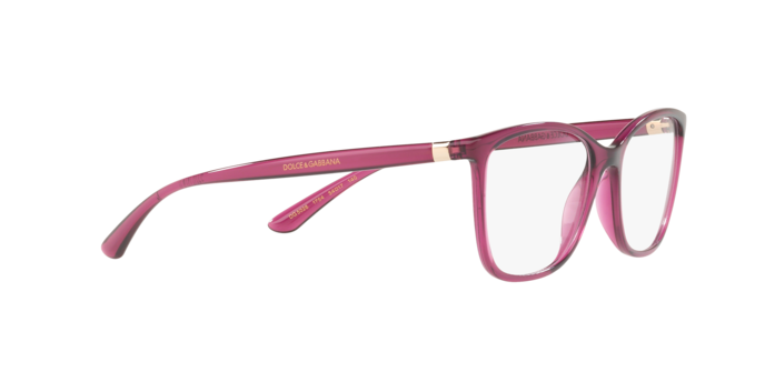 Dolce & Gabbana DG5026 1754