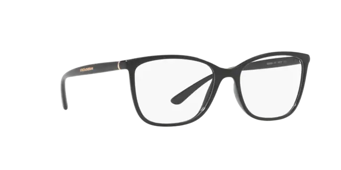 Dolce & Gabbana DG5026 501