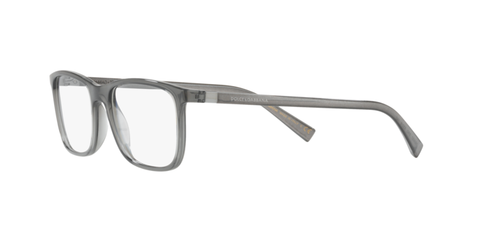 Dolce & Gabbana DG5027 3160