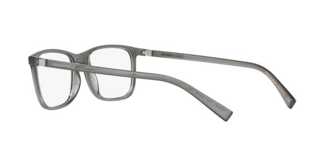 Dolce & Gabbana DG5027 3160