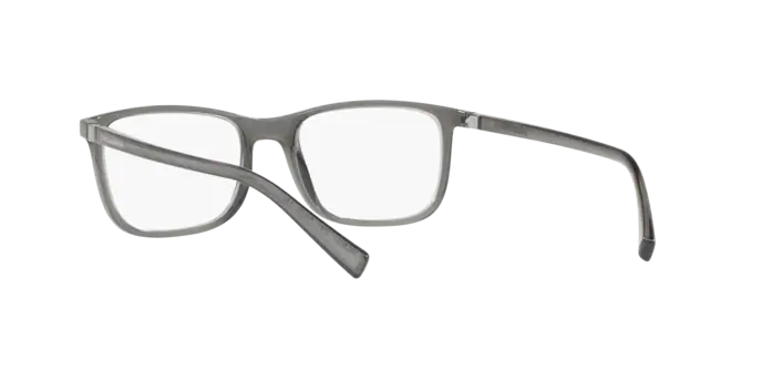 Dolce & Gabbana DG5027 3160