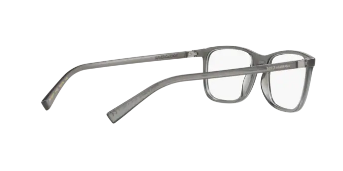 Dolce & Gabbana DG5027 3160