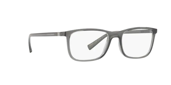 Dolce & Gabbana DG5027 3160