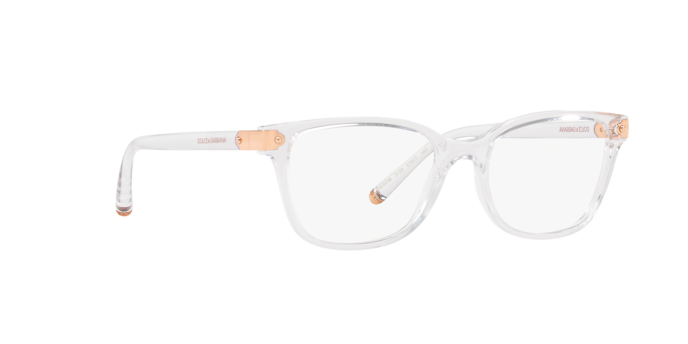 Dolce & Gabbana DG5036 3133