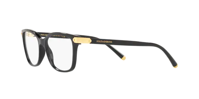 Dolce & Gabbana DG5036 501