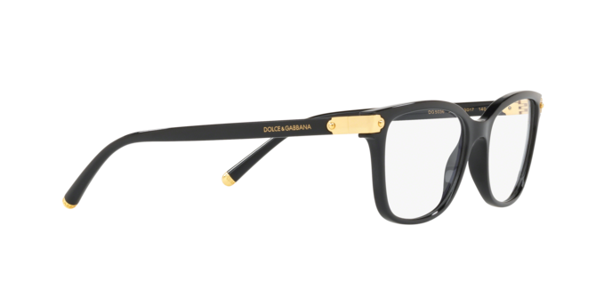 Dolce & Gabbana DG5036 501