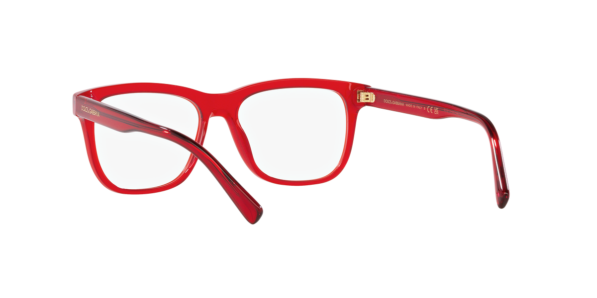 Dolce & Gabbana DX3356 3409