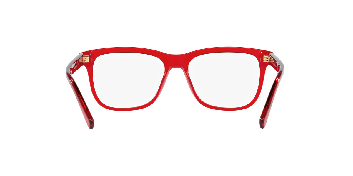 Dolce & Gabbana DX3356 3409