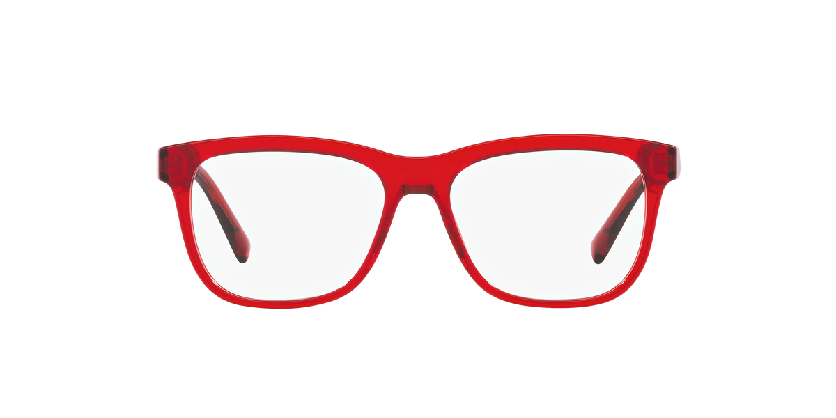 Dolce & Gabbana DX3356 3409
