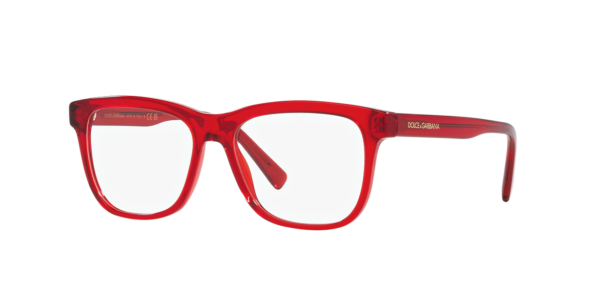 Dolce & Gabbana DX3356 3409