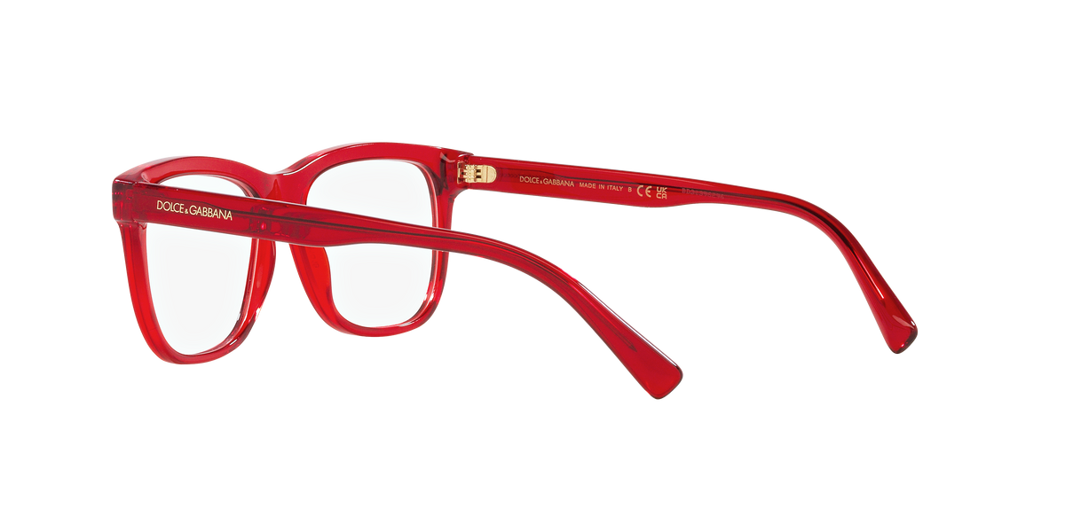 Dolce & Gabbana DX3356 3409