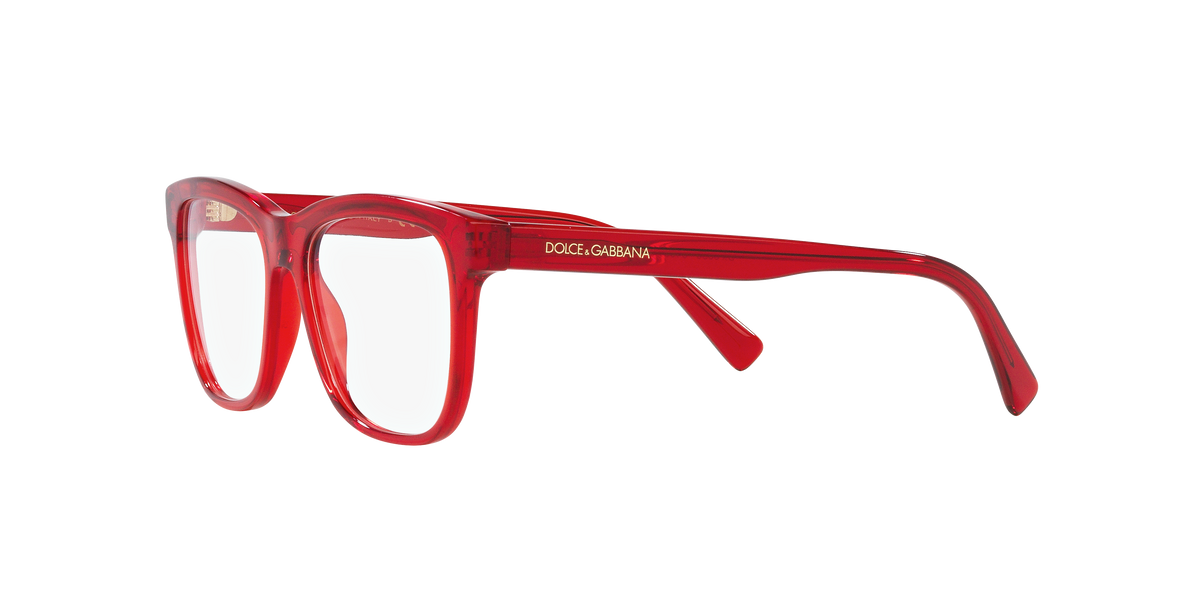 Dolce & Gabbana DX3356 3409