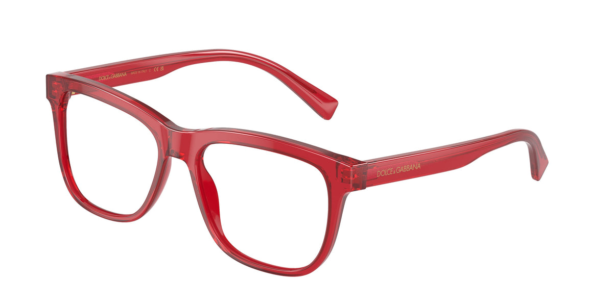 Dolce & Gabbana DX3356 3409