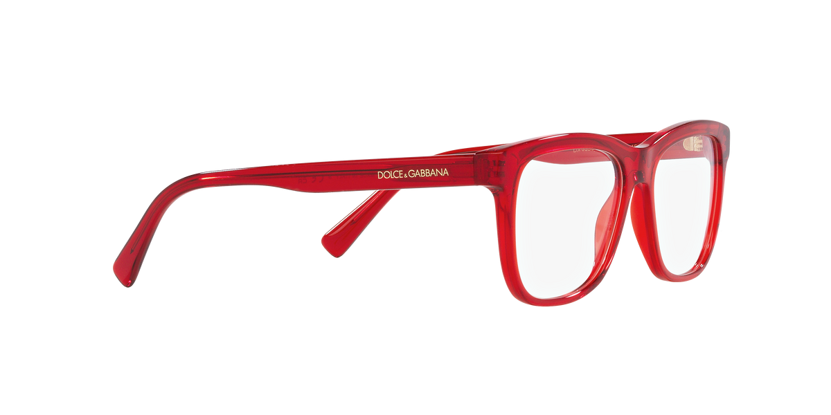 Dolce & Gabbana DX3356 3409