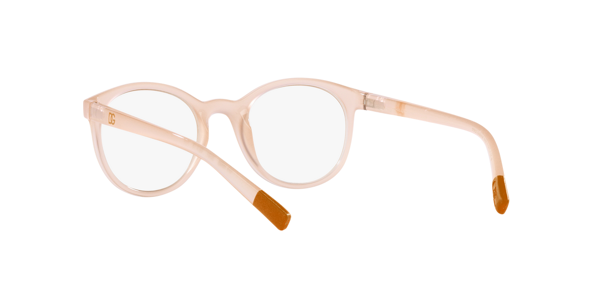 Dolce & Gabbana DX5095 3041