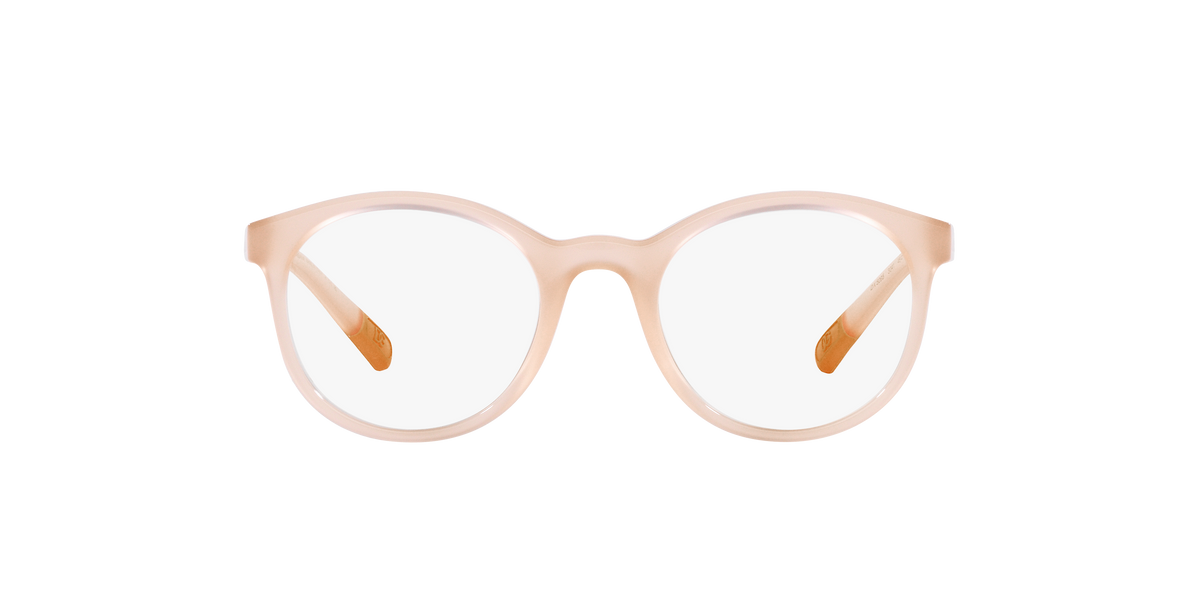 Dolce & Gabbana DX5095 3041