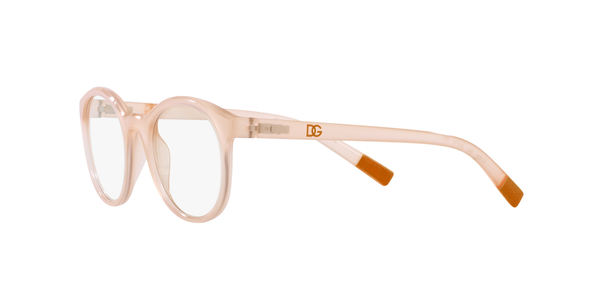 Dolce & Gabbana DX5095 3041