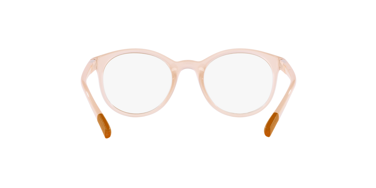 Dolce & Gabbana DX5095 3041