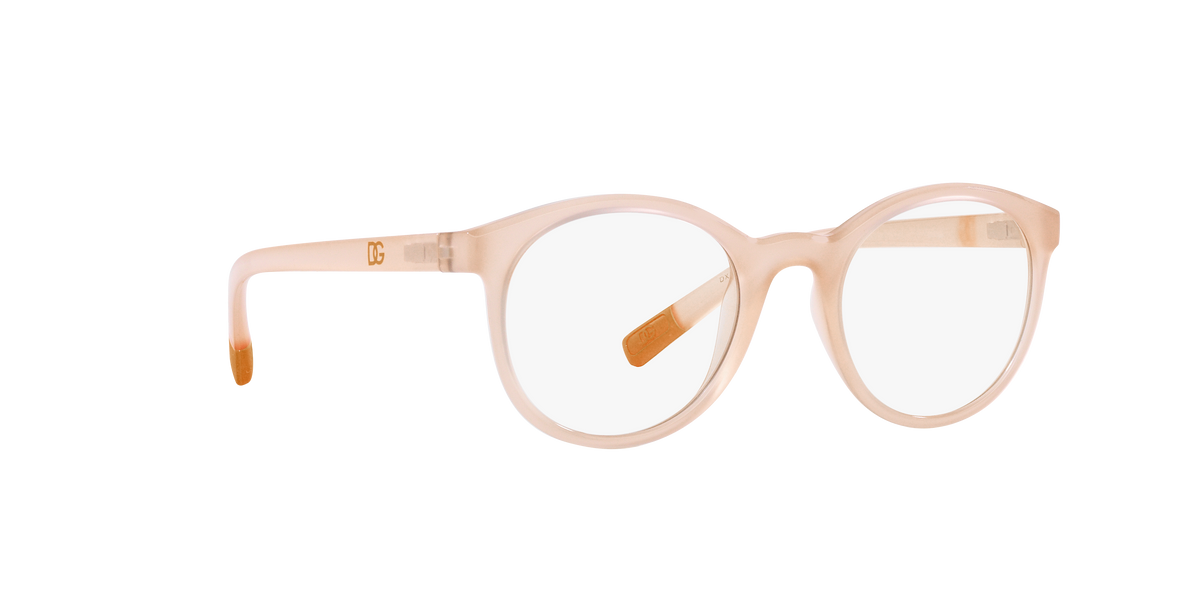 Dolce & Gabbana DX5095 3041