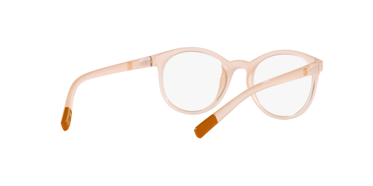 Dolce & Gabbana DX5095 3041