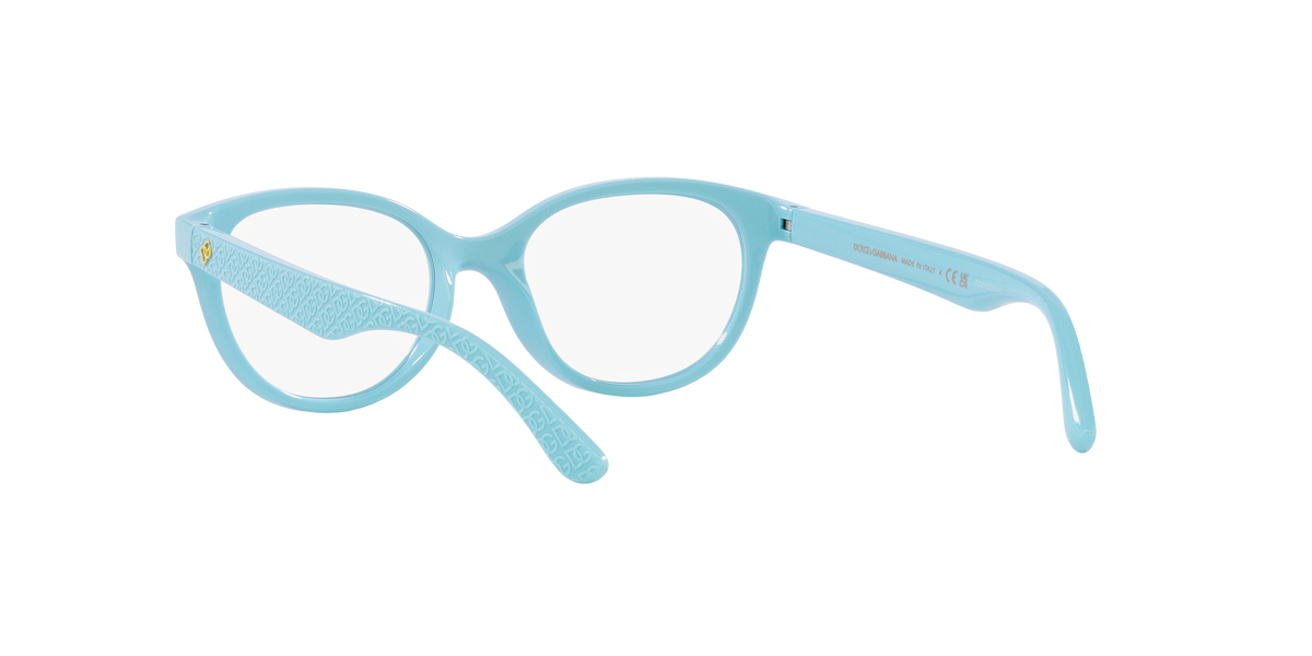 Dolce & Gabbana DX5096 3134