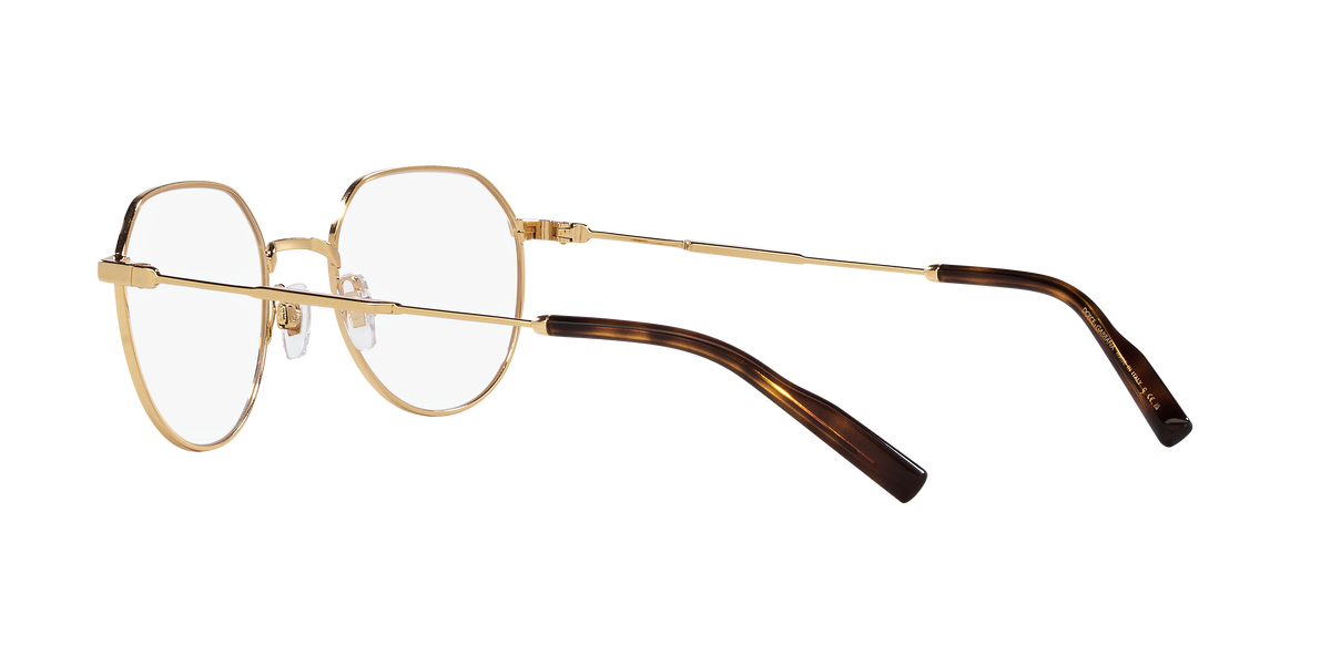 Dolce & Gabbana DG1349 02